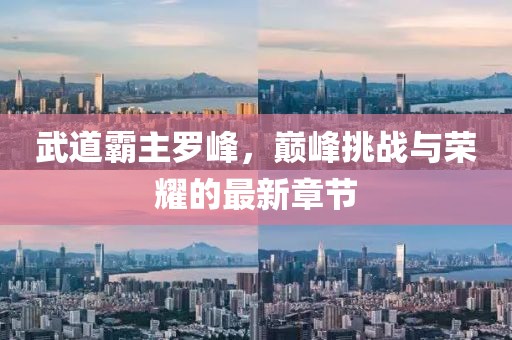 武道霸主羅峰，巔峰挑戰(zhàn)與榮耀的最新章節(jié)