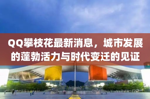 QQ攀枝花最新消息，城市發(fā)展的蓬勃活力與時代變遷的見證