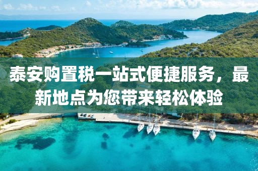 泰安購(gòu)置稅一站式便捷服務(wù)，最新地點(diǎn)為您帶來(lái)輕松體驗(yàn)