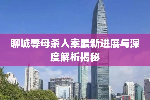 聊城辱母殺人案最新進展與深度解析揭秘