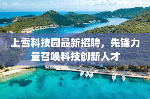 上雪科技園最新招聘，先鋒力量召喚科技創(chuàng)新人才