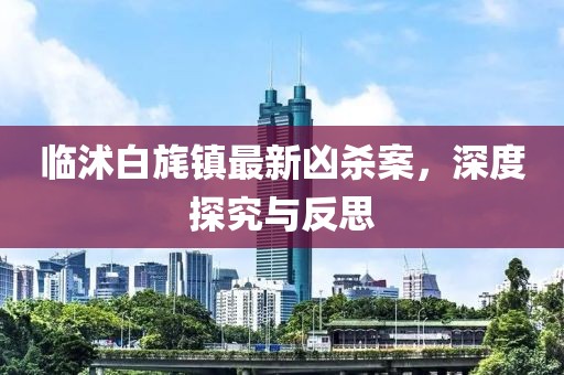 臨沭白旄鎮(zhèn)最新兇殺案，深度探究與反思