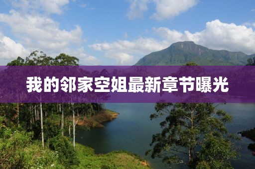 我的鄰家空姐最新章節(jié)曝光