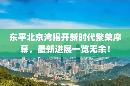東平北京灣揭開新時代繁榮序幕，最新進展一覽無余！
