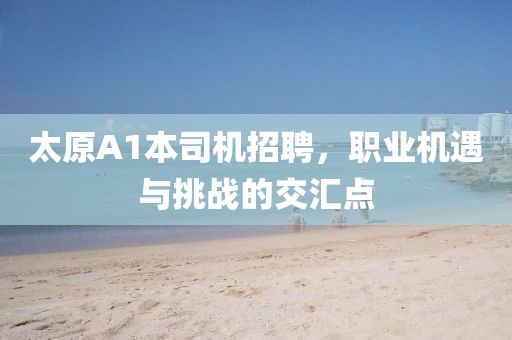 太原A1本司機(jī)招聘，職業(yè)機(jī)遇與挑戰(zhàn)的交匯點(diǎn)