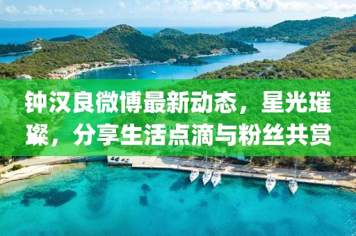 鐘漢良微博最新動(dòng)態(tài)，星光璀璨，分享生活點(diǎn)滴與粉絲共賞