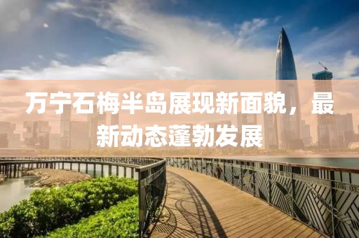 萬寧石梅半島展現(xiàn)新面貌，最新動態(tài)蓬勃發(fā)展