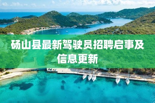 碭山縣最新駕駛員招聘啟事及信息更新