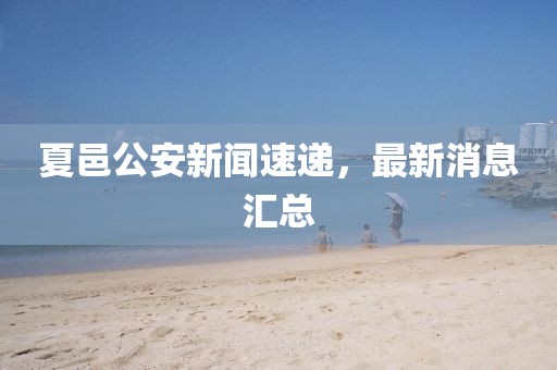 夏邑公安新聞速遞，最新消息匯總