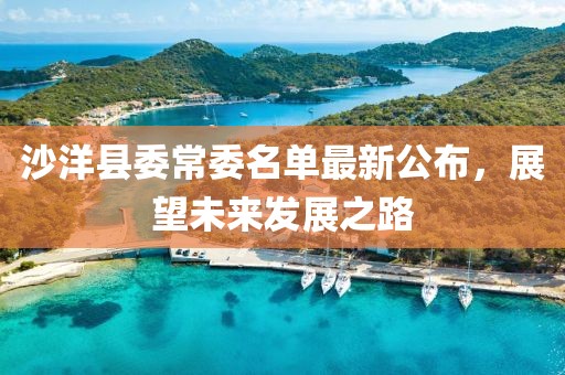 沙洋縣委常委名單最新公布，展望未來發(fā)展之路