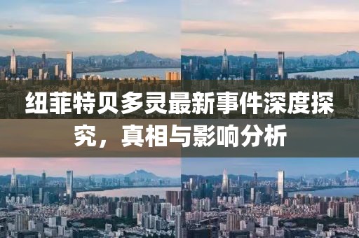 紐菲特貝多靈最新事件深度探究，真相與影響分析