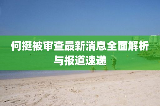 何挺被審查最新消息全面解析與報(bào)道速遞