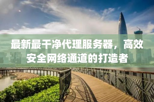 最新最干凈代理服務(wù)器，高效安全網(wǎng)絡(luò)通道的打造者
