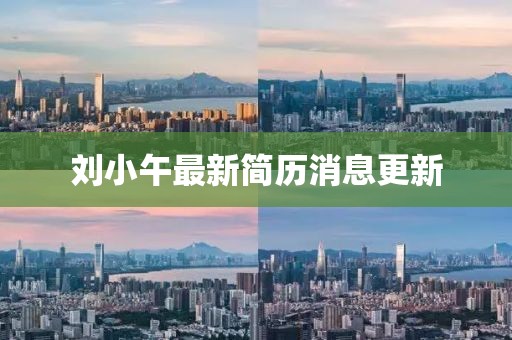 劉小午最新簡(jiǎn)歷消息更新