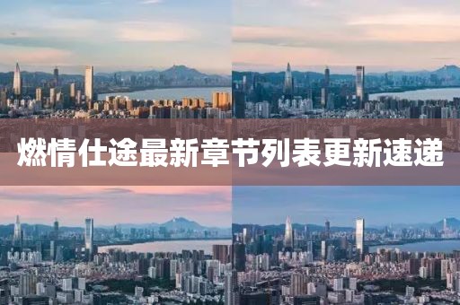 燃情仕途最新章節(jié)列表更新速遞