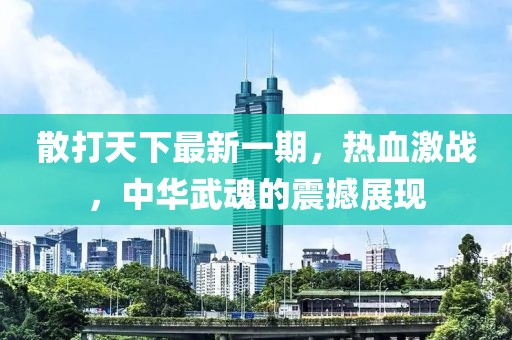 散打天下最新一期，熱血激戰(zhàn)，中華武魂的震撼展現(xiàn)