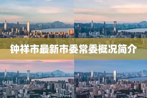鐘祥市最新市委常委概況簡介