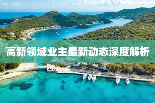 高新領(lǐng)域業(yè)主最新動態(tài)深度解析