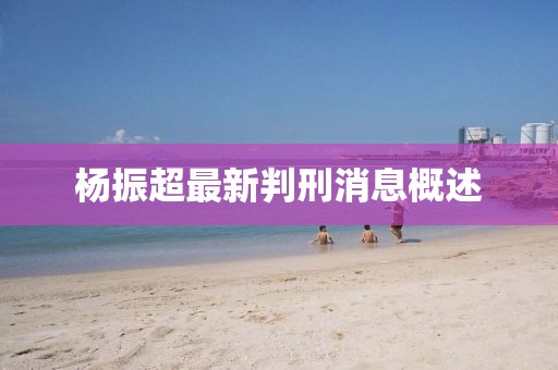 楊振超最新判刑消息概述