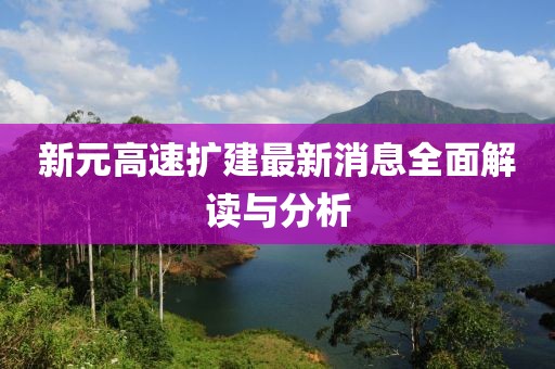新元高速擴(kuò)建最新消息全面解讀與分析