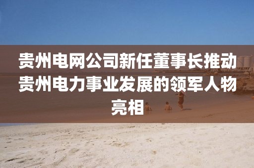 貴州電網(wǎng)公司新任董事長推動貴州電力事業(yè)發(fā)展的領(lǐng)軍人物亮相
