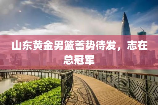 山東黃金男籃蓄勢待發(fā)，志在總冠軍