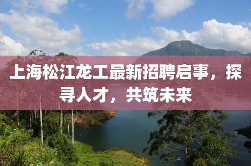 上海松江龍工最新招聘啟事，探尋人才，共筑未來