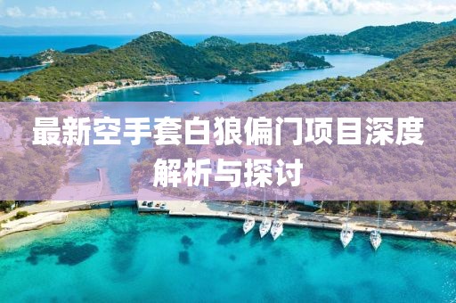 最新空手套白狼偏門項目深度解析與探討