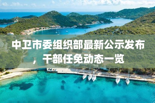 中衛(wèi)市委組織部最新公示發(fā)布，干部任免動(dòng)態(tài)一覽