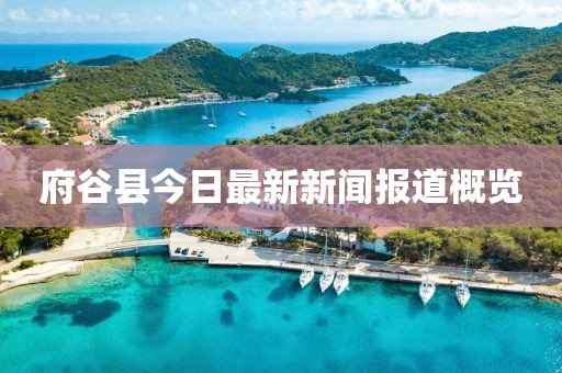 府谷縣今日最新新聞報(bào)道概覽