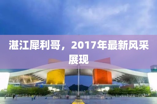 湛江犀利哥，2017年最新風采展現(xiàn)