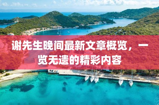 謝先生晚間最新文章概覽，一覽無遺的精彩內(nèi)容