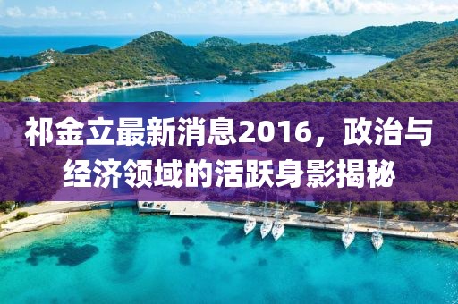 祁金立最新消息2016，政治與經(jīng)濟(jì)領(lǐng)域的活躍身影揭秘