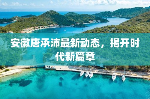 安徽唐承沛最新動態(tài)，揭開時代新篇章