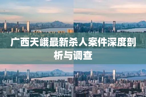廣西天峨最新殺人案件深度剖析與調(diào)查