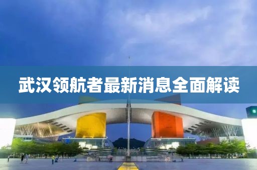 武漢領航者最新消息全面解讀
