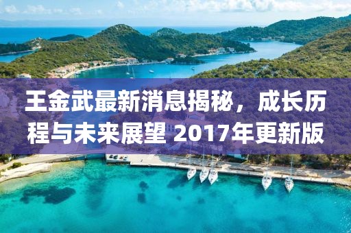王金武最新消息揭秘，成長歷程與未來展望 2017年更新版