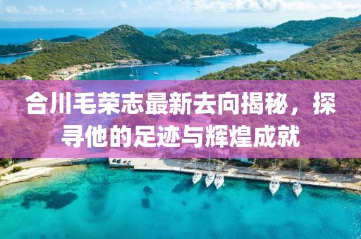 合川毛榮志最新去向揭秘，探尋他的足跡與輝煌成就