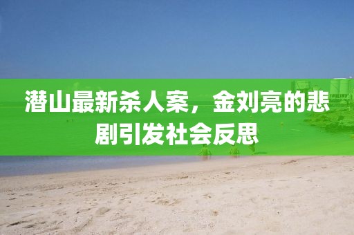 潛山最新殺人案，金劉亮的悲劇引發(fā)社會反思