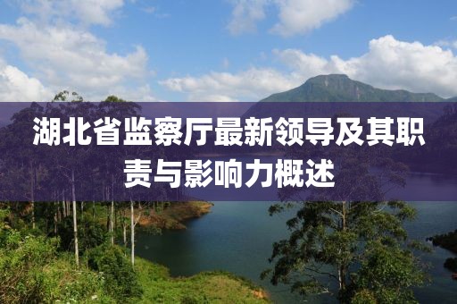 湖北省監(jiān)察廳最新領(lǐng)導(dǎo)及其職責(zé)與影響力概述