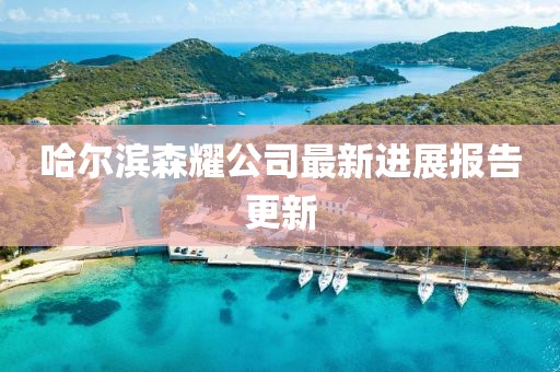 哈爾濱森耀公司最新進(jìn)展報告更新