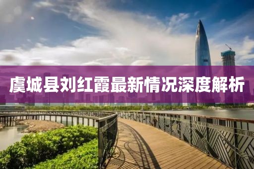 虞城縣劉紅霞最新情況深度解析