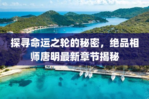 探尋命運(yùn)之輪的秘密，絕品相師唐明最新章節(jié)揭秘