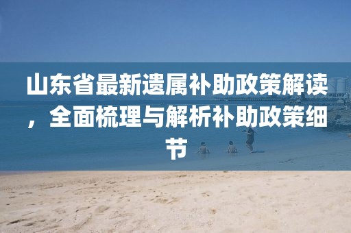 山東省最新遺屬補助政策解讀，全面梳理與解析補助政策細節(jié)