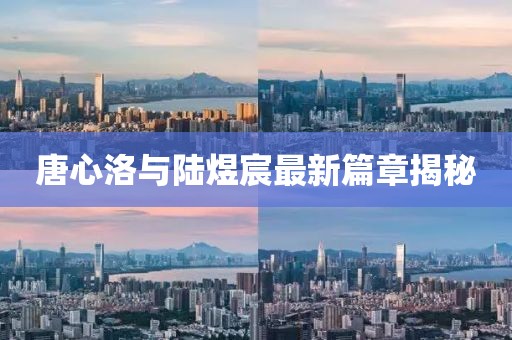 唐心洛與陸煜宸最新篇章揭秘