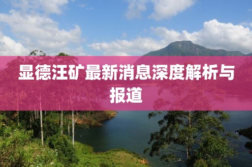 顯德汪礦最新消息深度解析與報道