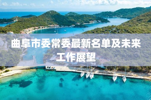 曲阜市委常委最新名單及未來工作展望