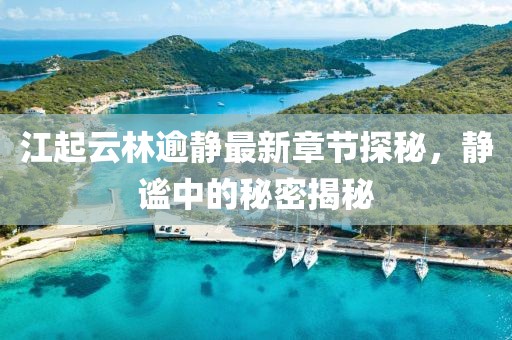 江起云林逾靜最新章節(jié)探秘，靜謐中的秘密揭秘
