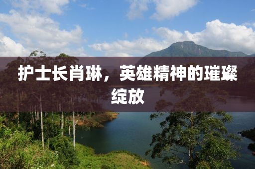 護(hù)士長肖琳，英雄精神的璀璨綻放