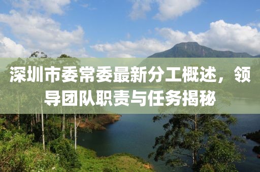 深圳市委常委最新分工概述，領(lǐng)導(dǎo)團(tuán)隊(duì)職責(zé)與任務(wù)揭秘